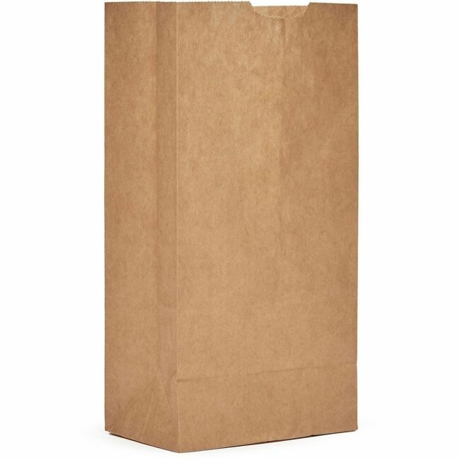AJM Packaging Corporation BAG PAPER 4# AJMGB04NP5CES