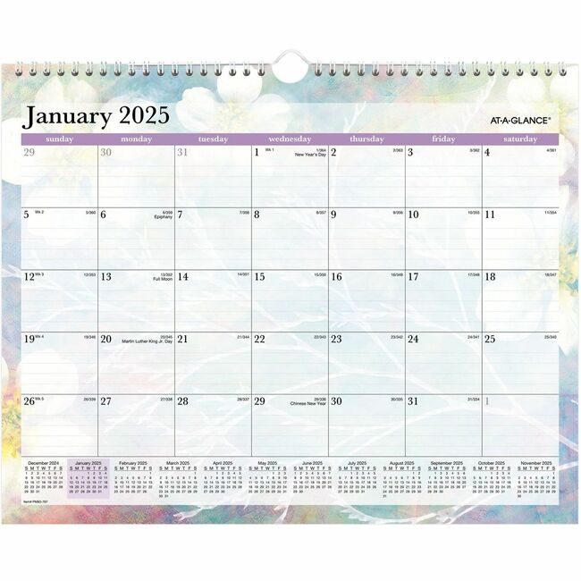 ACCO Brands AT-A-GLANCE Wallcal Monthly Dreams Medium AAGPM83707