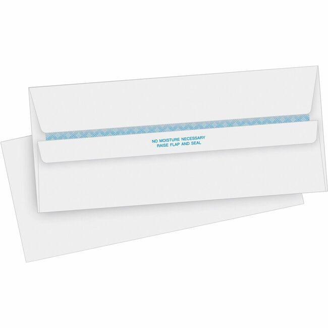 Business Source Envelope Selfseal Secur Reg BSN04645