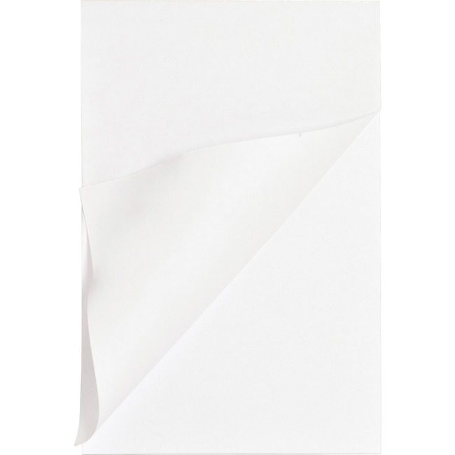 Business Source Pad Memo 5X8 Plain 100SH We BSN65902