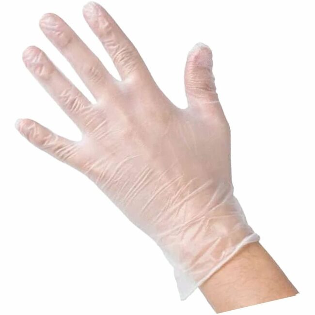 Genuine Joe Gloves Vinyl 3MIL Clear XL GJO15435