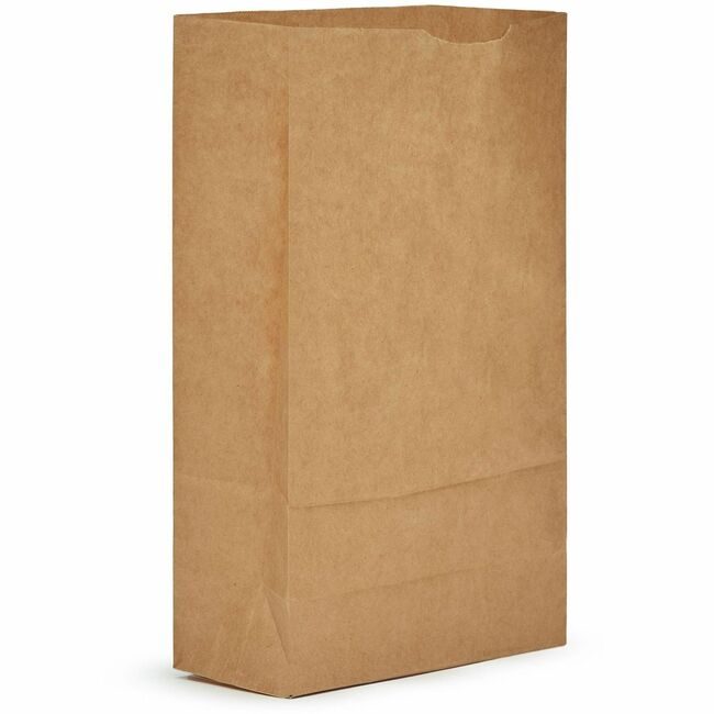AJM Packaging Corporation BAG PAPER 6# AJMGB06NP5CES