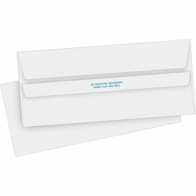 Business Source Envelope Selfseal Plain Reg BSN04644