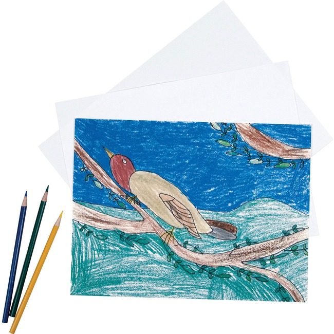 Pacon Corporation Paper Drwing 18X24 We 500SH PAC4818
