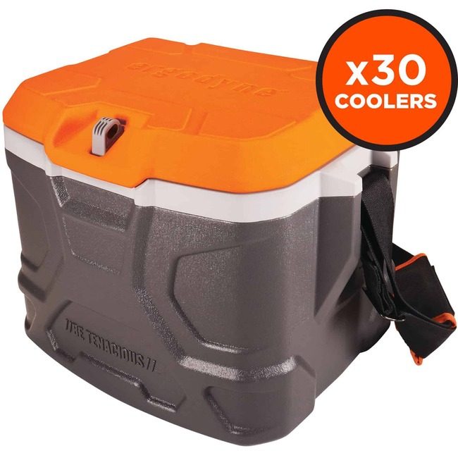 Ergodyne COOLER-17 QT PALLET OF 30 EGO13172