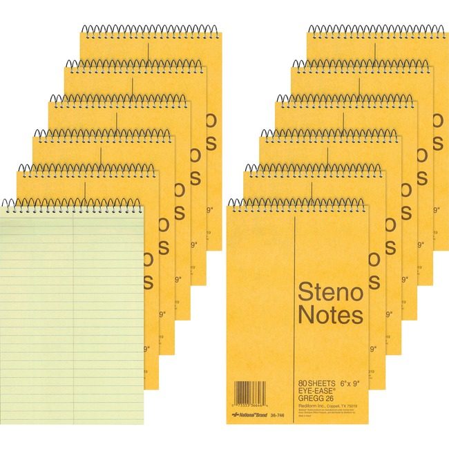 Dominion Blueline, Inc. Schneider Vizz Book Steno Gregg 80SH Green RED36746PK