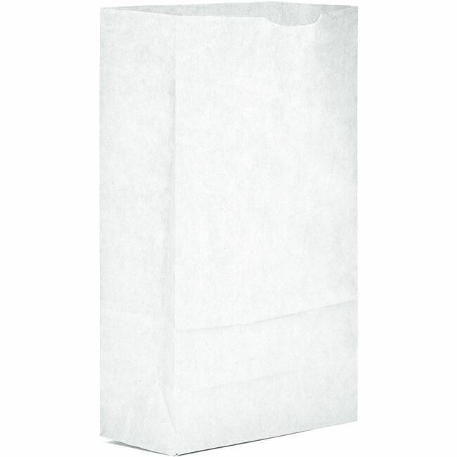 AJM Packaging Corporation BAG PAPER 6# WHITE AJMWB06NP5CES