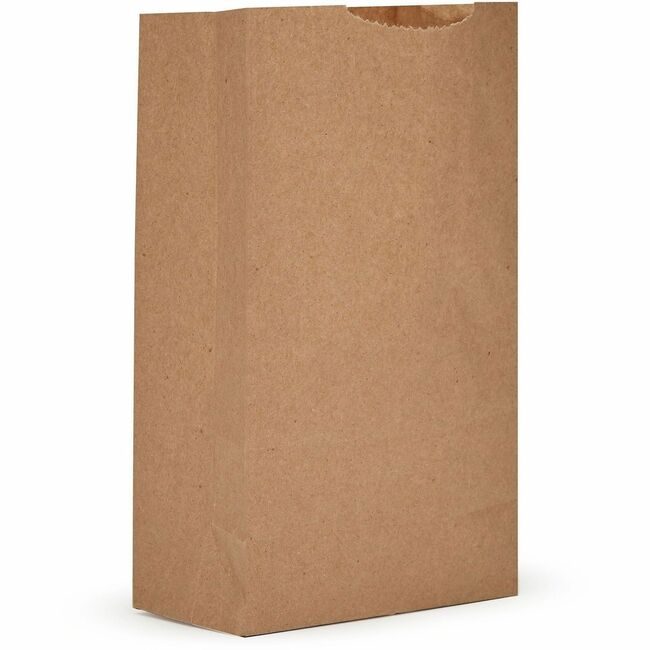 AJM Packaging Corporation Bag Paper 2# EXTRA HVY DTY AJMGBN102G5CEHE
