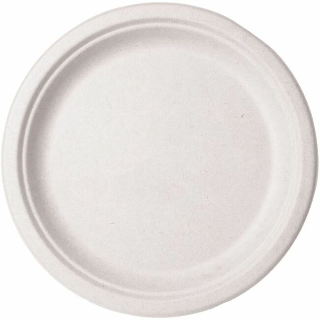 Vegware Plate Nat Fiber 10" 500 Count VEGVWP005NFA