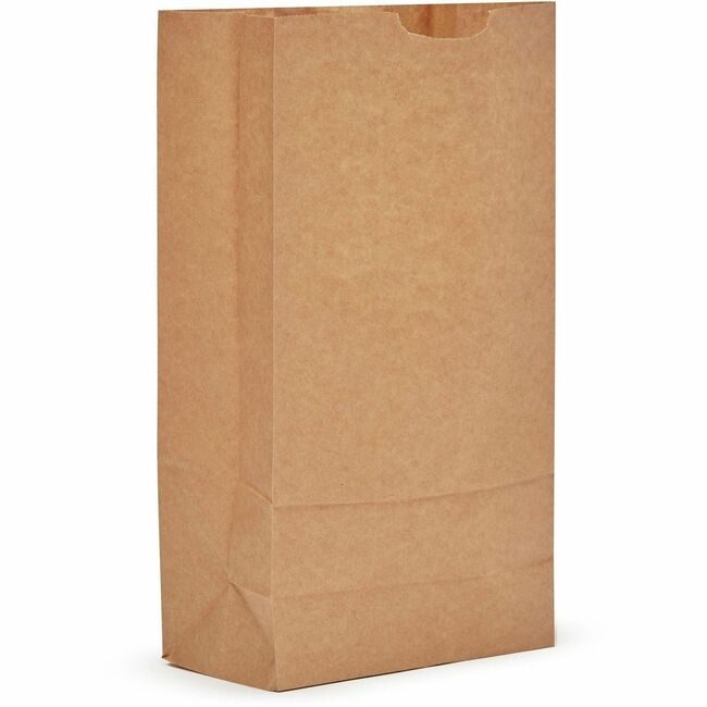 AJM Packaging Corporation Bag Paper 10# Brown AJMGB10NP5CES