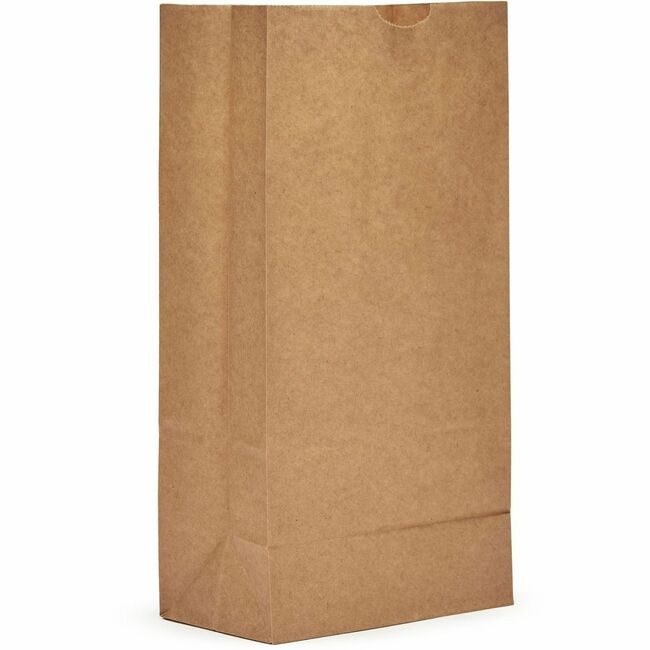 AJM Packaging Corporation BAG PAPER 8# AJMGB08NP5CES