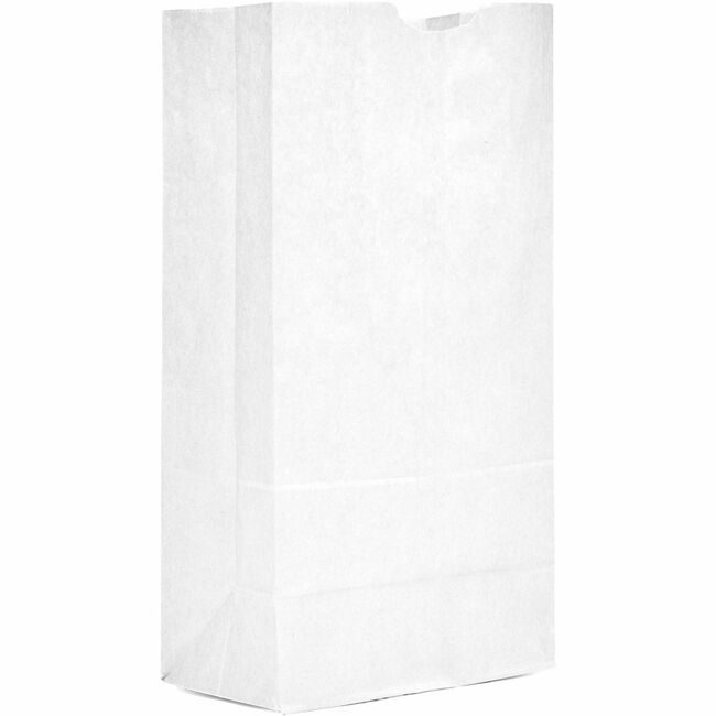 AJM Packaging Corporation Bag Paper 16# White AJMWB16NP5CES