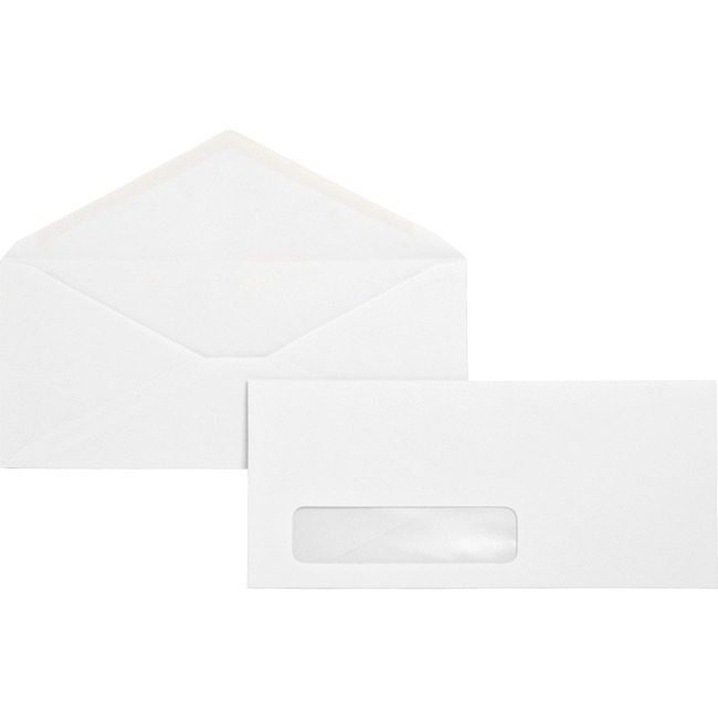 Business Source Envelope Diag Seam Wndw #10 BSN04468