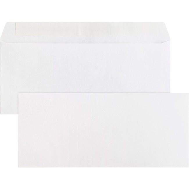 Business Source Envelope Peeltoseal Pln Reg BSN04646