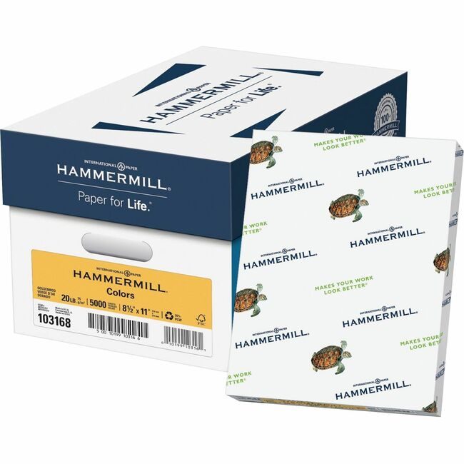 Sylvamo / Hammermill Paper Copy 20# 8.5X11 Gldrd HAM103168CT