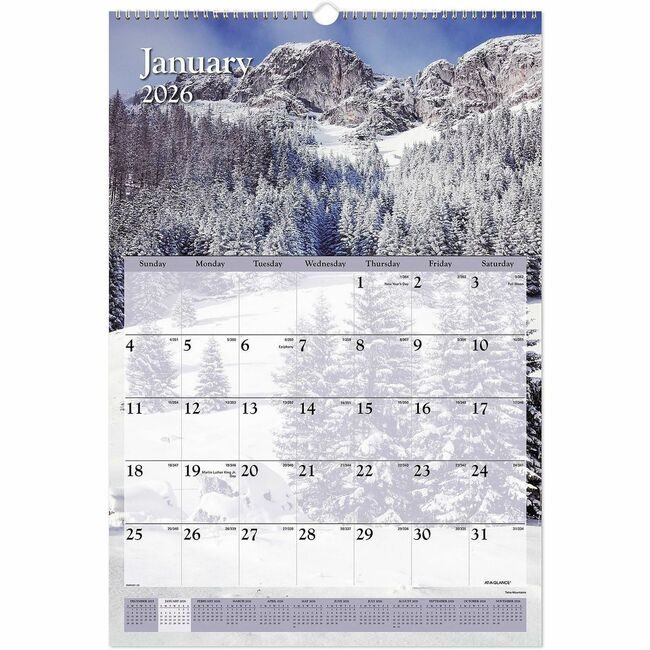 ACCO Brands AT-A-GLANCE Calendar Wall Scenic 16X23 AAGDMW20128