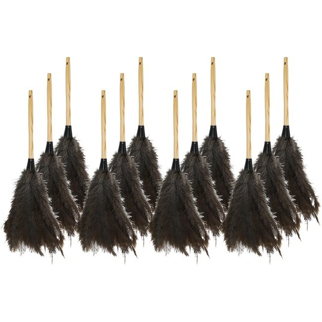 Genuine Joe Duster Feather 18" GJO90118CT